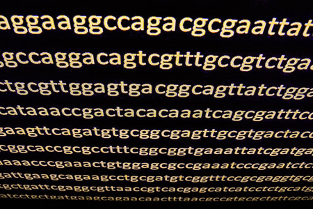 Sequencing the genome. 