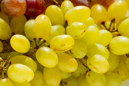 葡萄可以作为鲜食葡萄食用，也可以用于食用