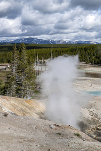 Norris Geyser Basin in the Yellowstone 