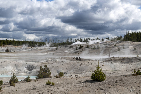 Norris Geyser Basin in the Yellowstone 