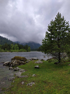 夏季山河美景，阿尔泰山脉，俄罗斯