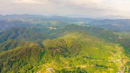 Italy. Forest covered mountains and villas. The territory of Pig