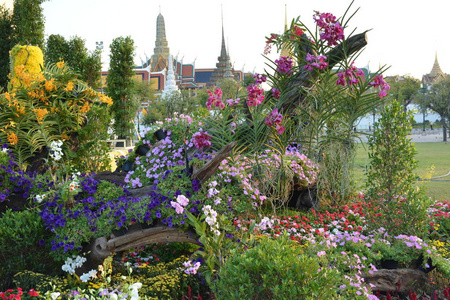 风景 花园 植物区系 公园 花儿 自然