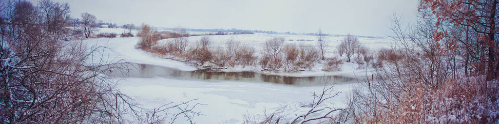 美丽的冬季景观全景河流和树木背景的田野。新年，圣诞节库存照片。白雪覆盖的西伯利亚物种