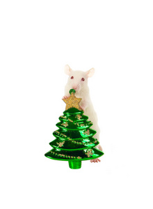 Rat with a Christmas toy isolated on a white background.        