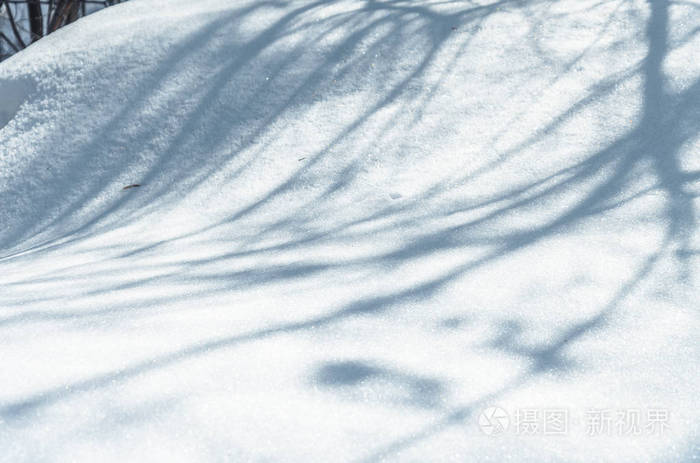 带树影的冬季雪堆背景