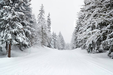 冬季雪山公路景观图片