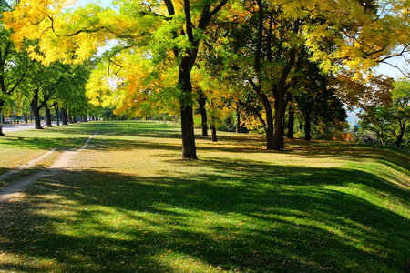 风景 自然 木材 花园 森林 天空 季节 颜色 树叶 秋天