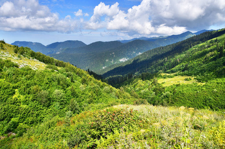 高原 峡谷 美丽的 阿布哈兹 旅行 自然 八月 山谷 高地