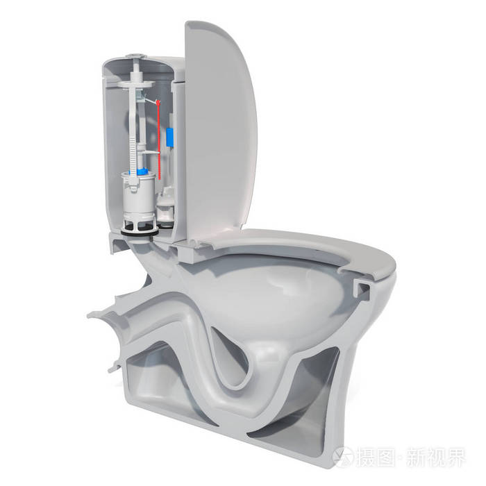 马桶横截面3d渲染