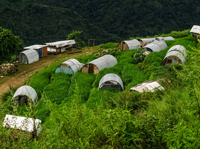 山间美丽的小山谷图片