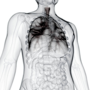 慢性阻塞性肺病 支气管 健康 吸气 生理学 呼吸 疼痛 气管