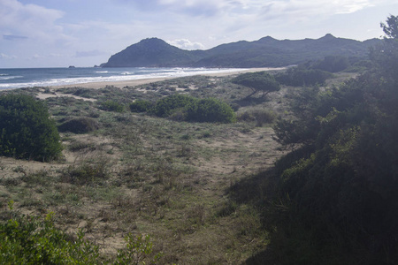 旅游业 风景 自然 撒丁岛 沙丘 海岸 天空 海滩