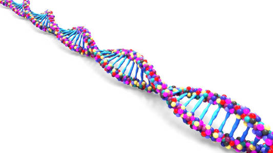 生物 化学 细胞 健康 基因 克隆 生活 提供 生物学 三维