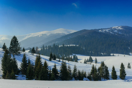 喀尔巴蒂安山冬季景观乌克兰