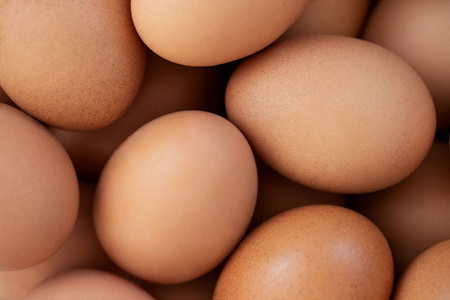 蛋白质 产品 饮食 生活 厨房 蛋黄 鸡蛋 农场 赡养费