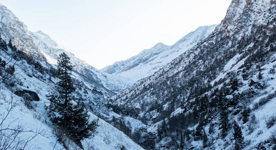 冬季全景山