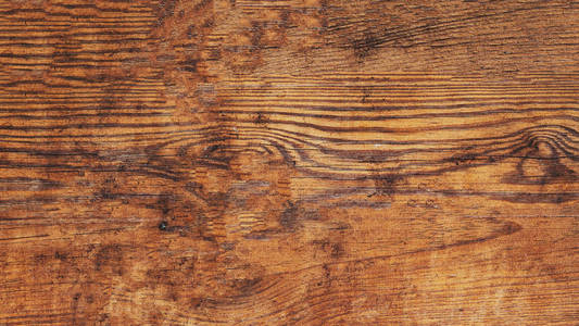 纹理 空的 树皮 木板 照片 颜色 古老的 木工 复古的