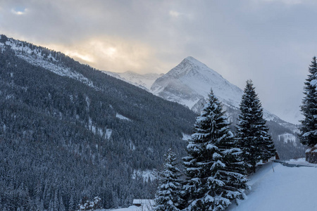 寒冷的 滑雪 阿尔卑斯山 徒步旅行 冬天 风景 自然 太阳