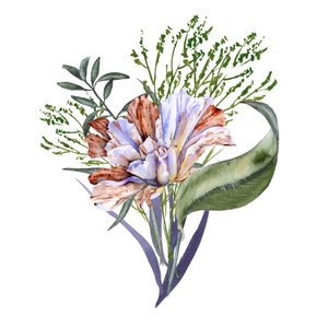枯萎的花.孤立在白色背景上.照片