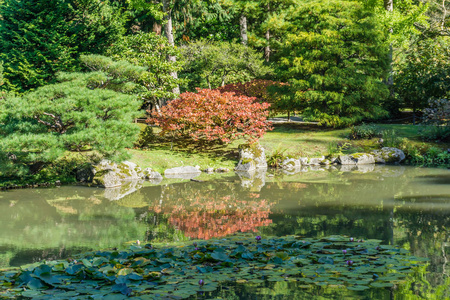 西雅图花园池塘倒影2