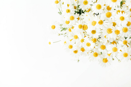 生活 花瓣 洋甘菊 美女 花农 假日 平铺 情人 英雄 黛西