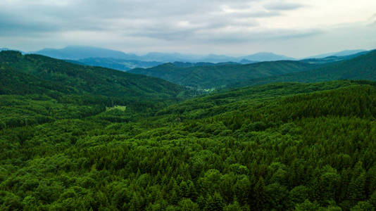 斯洛伐克鞑靼人绿树鸟瞰图
