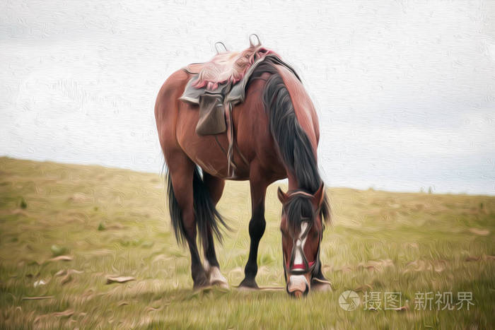 野外吃马数字油画
