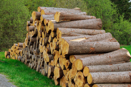 一堆木头躺在路边的草地上.森林砍伐的问题.生态问题.照片