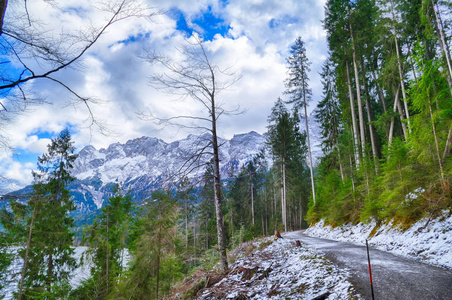 艾伯西 假期 阿尔卑斯山 风景 德国 冬天 徒步旅行 旅游业