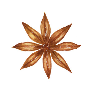 调料水彩八角整体水彩插画照片