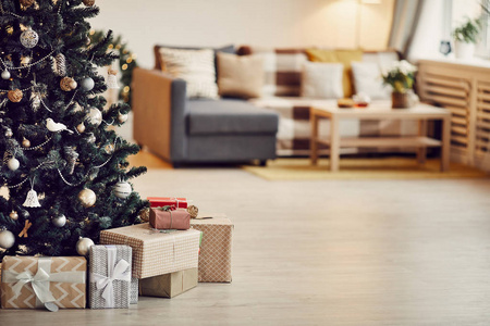 枕头 季节 沙发 冬天 地板 装饰品 礼品 圣诞节 特写镜头