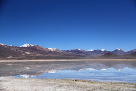 旅行 火山 高地 南方 假日 美丽的 风景 夏天 探索 美国