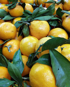 颜色 食物 素食主义者 树叶 橘子 健康 甜的 水果 收获