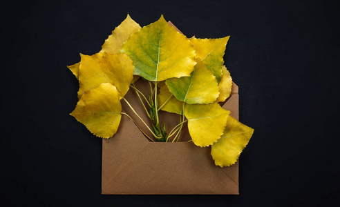 杨树叶在秋天秋天的杨树叶子在黑色黑板上的棕色信封里照片