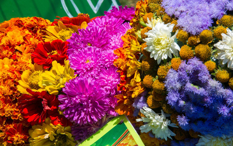 盛开 花的 生日 花束 庆祝 植物 夏天 颜色 花瓣 花农