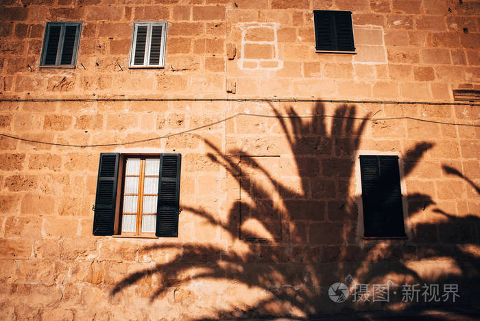 地中海房屋墙上的棕榈树的影子暑假假期照片