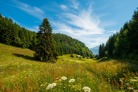 瑞士住宅的夏季山地景观