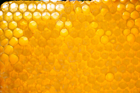 黄色的蜂巢空了，里面装满了蜂蜜