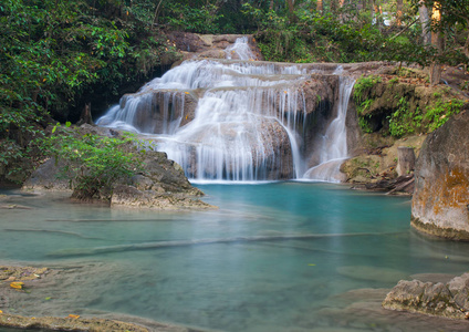 春天 木材 风景 流体 丛林 运动 公园 森林 精彩的 落下