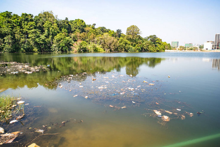 城市湿地图片-城市湿地素材-城市湿地插画-摄图新视界