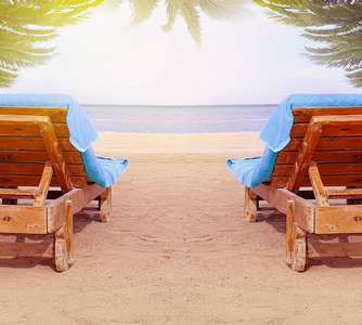 旅游业 风景 棕榈 马尔代夫 目的地 海岸 自然 阳伞 美女