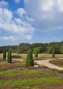  Heidegarten,Schneverdingen,Lueneburger Heath,Germany