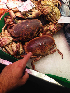 食物 甲壳类动物 美味的 市场 餐厅 草本植物 烹饪 品种