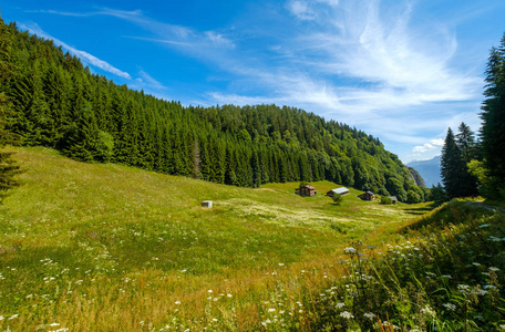 瑞士住宅的夏季山地景观图片