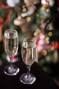两杯香槟在圣诞树旁和波基在一起