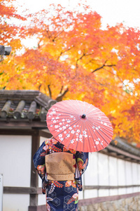 Geishas girl wearing Japanese kimono among red wooden Tori Gate 