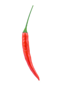 Red chili or chilli pepper isolated on a white background. with 