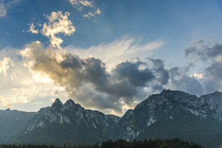美丽的 巴伐利亚 夏天 太阳 全景图 森林 小山 自然 风景