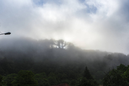 早晨 旅行 山谷 秋天 视频 夏天 小山 森林 自然 风景